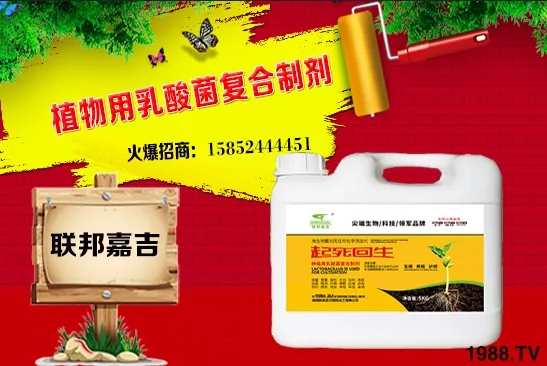 ���[���L�l������Щ�����[������c���＾������