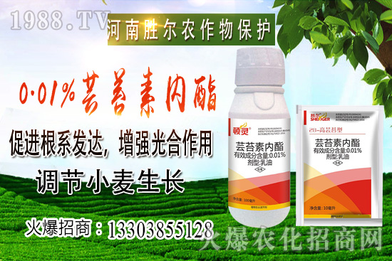 С���r(ji��)���ϝq��(ji��)����u�d�𣬺��п�����10��22��С���r(ji��)������