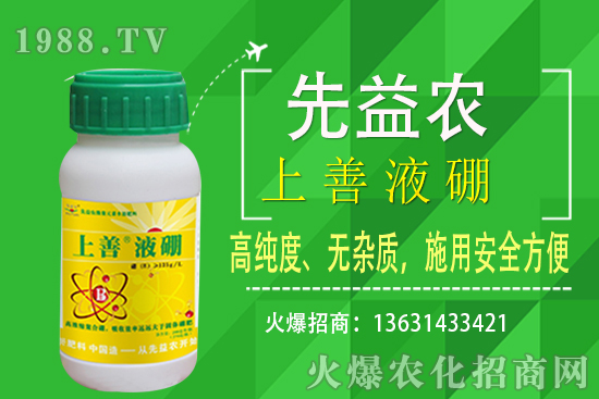 ���˷Nֲ�l������Щ�����˷NֲҪ��ôʩ����