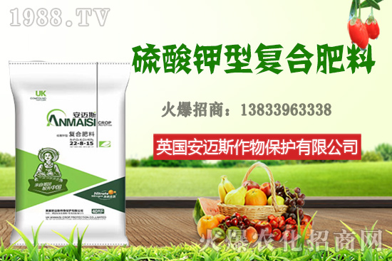 今日花生價(jià)格多少錢一斤？10月24日花生價(jià)格行情