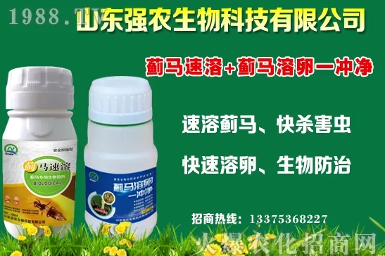 秋冬11月種植什么蔬菜比較合適？蔬菜種植注意事項！