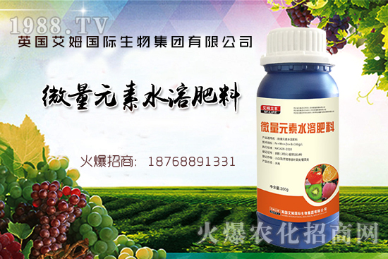 鐵、鋅、硼缺失癥狀，怎么補(bǔ)充作物所需元素？