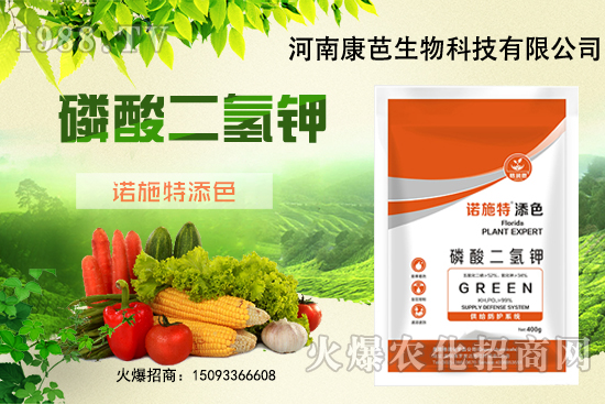 �������￹�����������⛼����������������8����