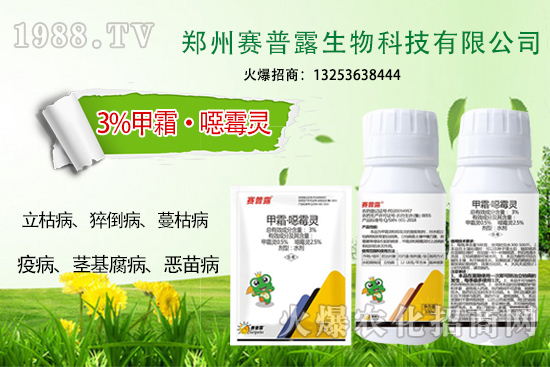 ��ʲô˪ù����⧵����װl(f��)���y������