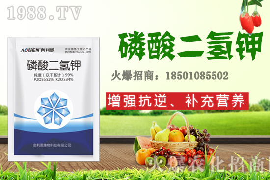 ����ʩ�D�ʺ�̎����Щ����Щ����Ҫʩ���D��ԓ��ôʩ��