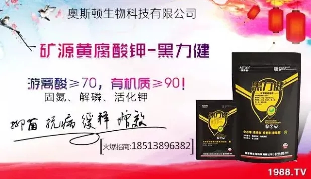 ����ʲô�r(sh��)�g���N��ע�����(xi��ng)����Щ�����ش���Nֲ�r(sh��)�g����