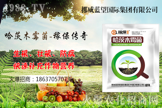 �ի@���С����΃�(ch��)������С����(ch��)���P(gu��n)�I�c(di��n)������