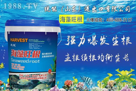 小麥種植時間如何確定？2020年小麥種植注意哪些問題？