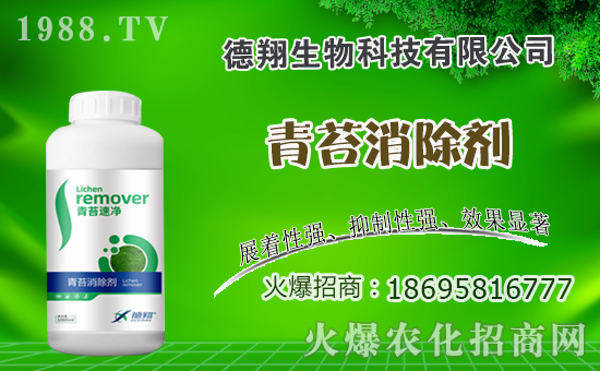 �Ͳ�ʲô�r(sh��)�g�Nֲ���Ͳ˷Nֲ������ʲô������Щע�����(xi��ng)��