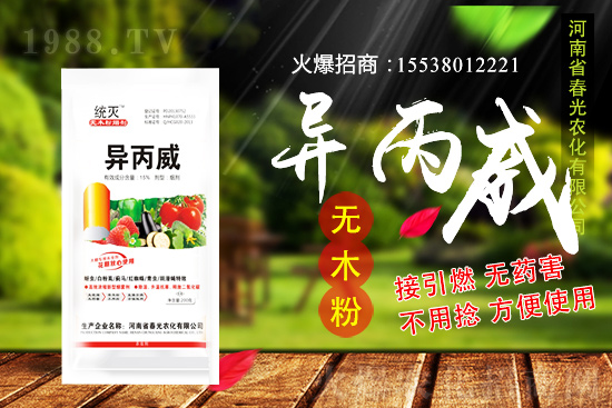 蒜苗種植前景及怎么樣？蒜苗種植要點(diǎn)及田間管理！