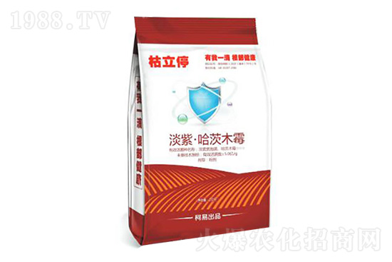 2020.11.24��ͪ˪���蚢�����r(ji��)��