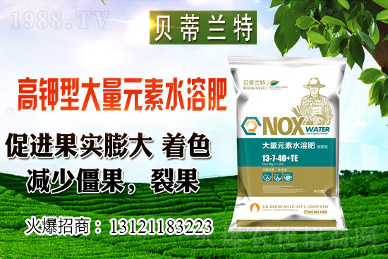 2020��12��С���r(ji��)���A(y��)�y(c��)��������С���r(ji��)���B��