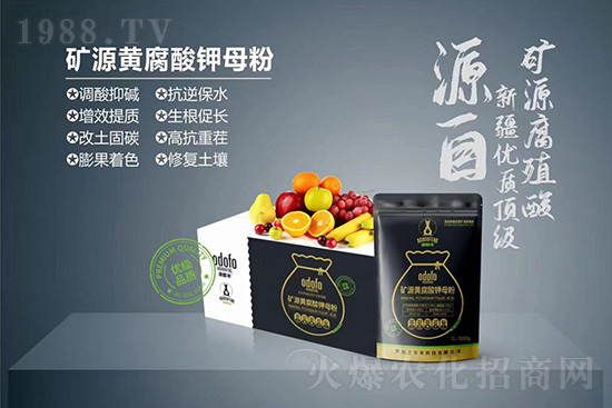 ʲô���߲��亦�����������￹��������