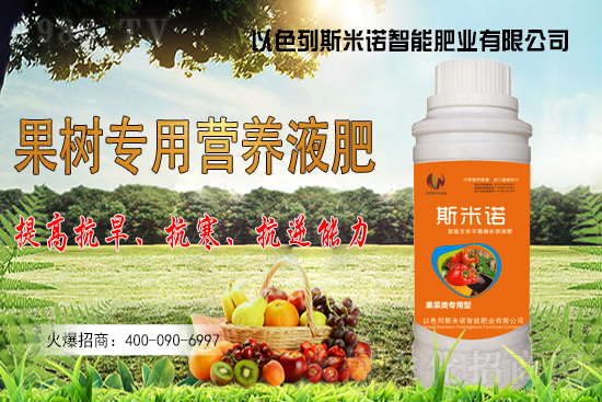 大豆價格持續(xù)“高漲”？今日東北大豆報價一覽！