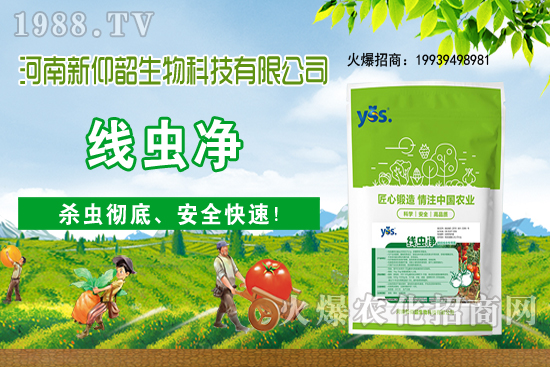 ����ֲ��ԓ��ô��ˮ������ֲ�ˮҪע����Щ���}����