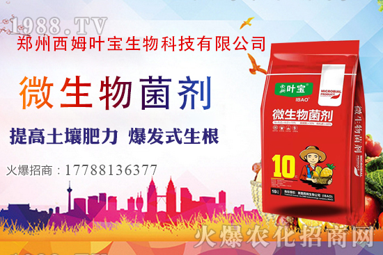     11月7日部分區(qū)域花生價格行情綜述分析！