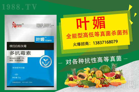 ������������̫�y�p������p�ɽ�Q��