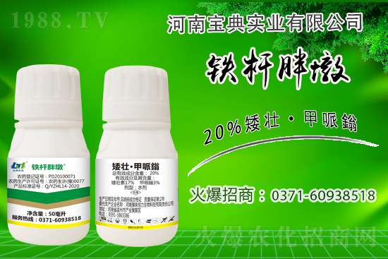 С����ǰ���L��ʲôΣ������ȡʲô��ʩ����Ч��ͽ�L��