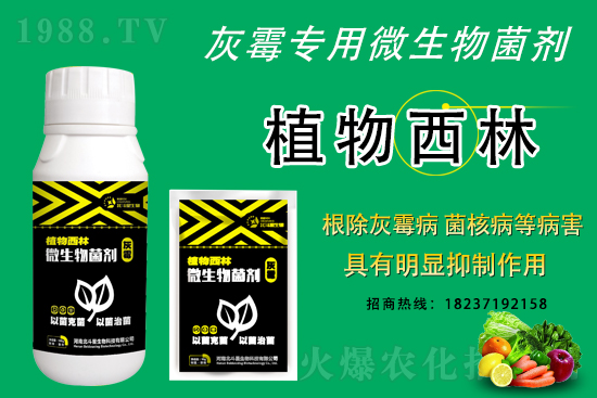 ��ù�������ε�ԭ������ô������Ч������