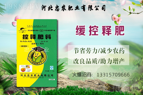 大蒜的產(chǎn)地在哪？種一畝地大蒜要用多少蒜種？畝產(chǎn)量是多少斤？