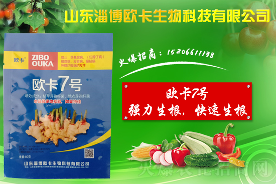 �󽪠����Ӳ���ʲô�����󽪠����Ӳ���ʲôˎ�÷���