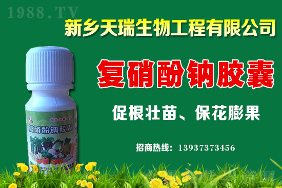 ���[һ�����ܮa(ch��n)���ٽ���[�r(ji��)�����ϝq��