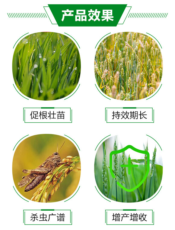 2%���x(ch��ng)��-��֮��-�A�S����_03