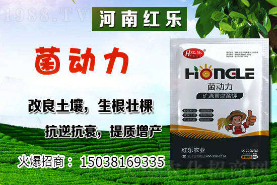 12�·��ܷNʲô�߲��������߲˷Nֲ����Щ������