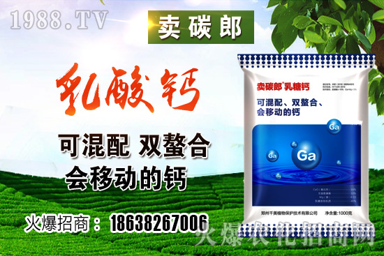 ���������^����С���r�����w��λڅ��(w��n)��