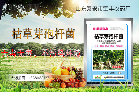 �ݲ�ѿ�ߗU���ܽ�Q������Щ���}���ݲ�ѿ�ߗU�����r(n��ng)�����ϵđ�(y��ng)�ã�