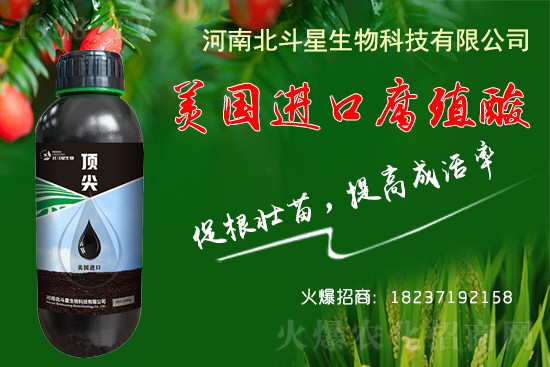 低溫條件下，大棚種植如何做到生根、養(yǎng)根、護(hù)根