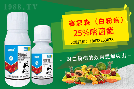 ��ݮ�׷۲����u���p�~��������ݮ�׷۲�Ҫ��η��أ�