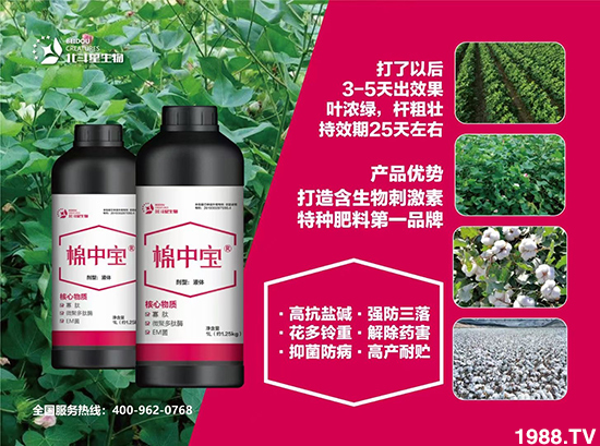 �طN�ʞ�ʲô�@ô������ʲô���c(di��n)֮̎��