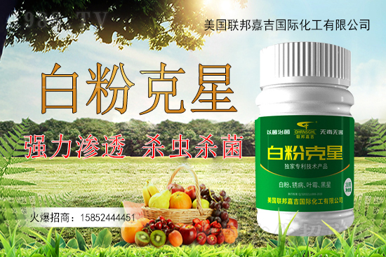 �����׷۲�����y�Է��أ������׷۲������ˎ����Ч������