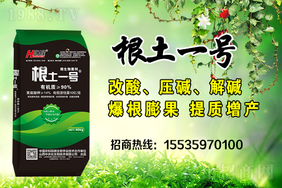     ΢��������е�΢������ʲô������΢�����������θ�����������