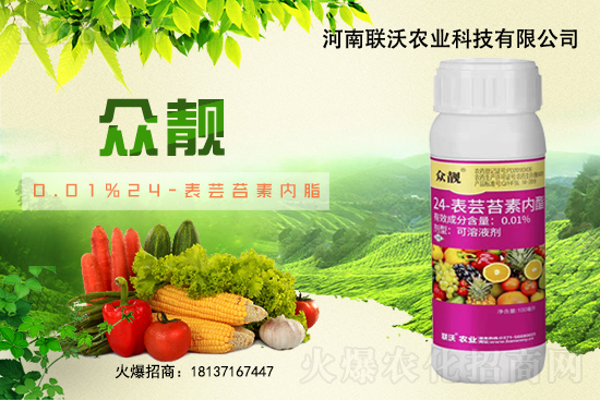 ��ݮ�������ɫ������ο��������������ɫ��