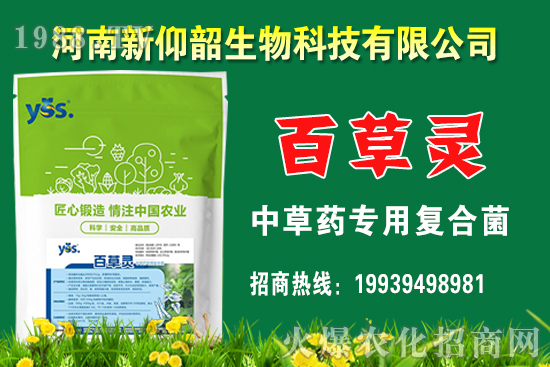 ����С���r��߀���q����2020��12��С���r��������Σ�