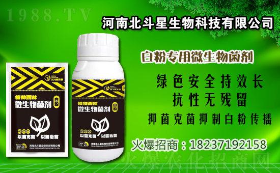 2020年12月31日嗎胍乙酸銅殺菌劑價(jià)格行情