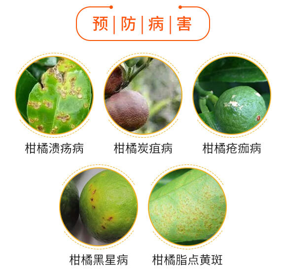 ΢�������-�����o�n-��������_03