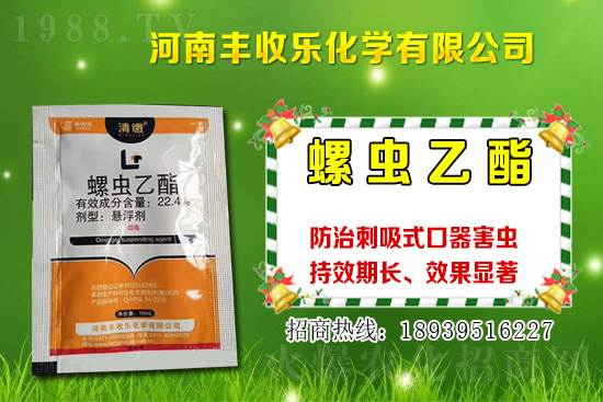 2021���޻��NֲƷ�Nԓ��ô�x���޻��x�NҪע����Щ���}��