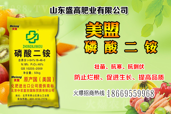 近期小麥價格還會繼續(xù)上漲嗎？12月小麥價格行情分析