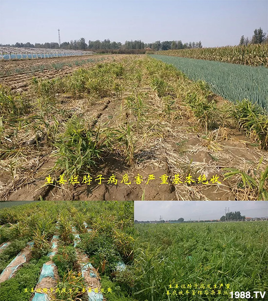     �l(f��)�������a(ch��n)Ʒ������أ�n������ʽ���ؠ����Ӳ����Ñ���������Ч����������