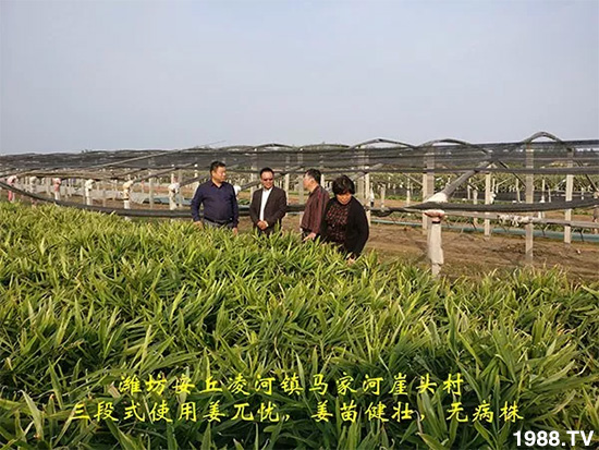     �l(f��)�������a(ch��n)Ʒ������أ�n������ʽ���ؠ����Ӳ����Ñ���������Ч����������