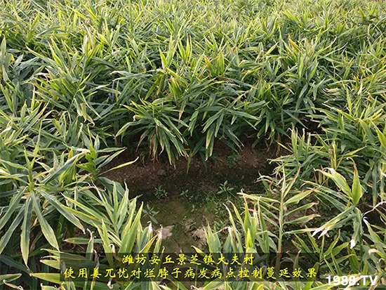     �l(f��)�������a(ch��n)Ʒ������أ�n������ʽ���ؠ����Ӳ����Ñ���������Ч����������