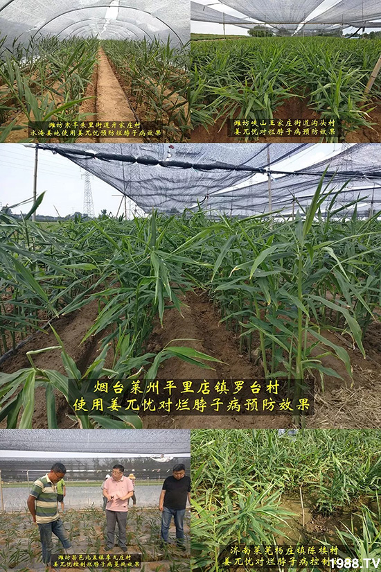     �l(f��)�������a(ch��n)Ʒ������أ�n������ʽ���ؠ����Ӳ����Ñ���������Ч����������