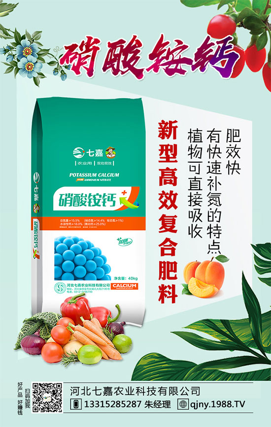 ��������������ע����Щ���(xi��ng)�������Nֲ���༼�g(sh��)��