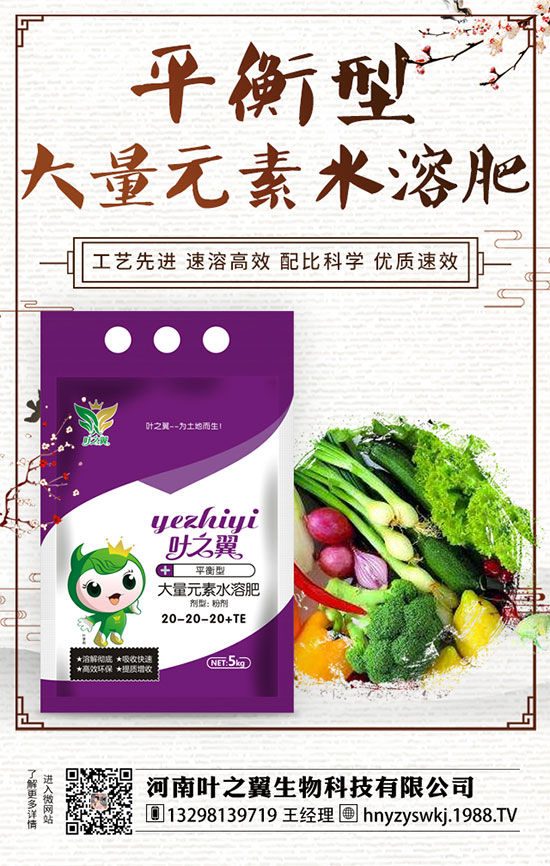 牡丹什么時(shí)候開(kāi)花？如何延長(zhǎng)牡丹開(kāi)花時(shí)間？