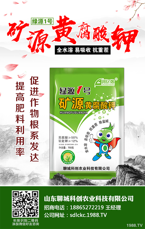 大棚番茄春季該如何澆水？大棚番茄的澆水方法(建議收藏)