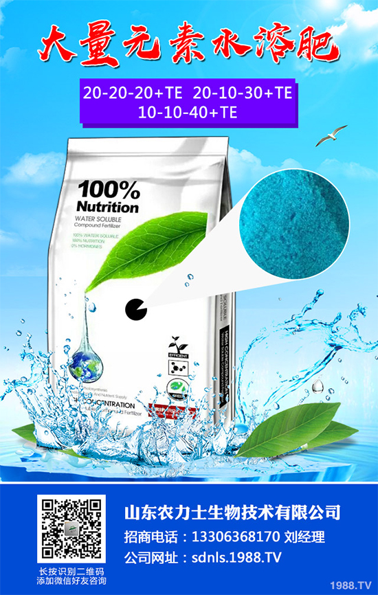 大棚番茄春季該如何澆水？大棚番茄的澆水方法(建議收藏)