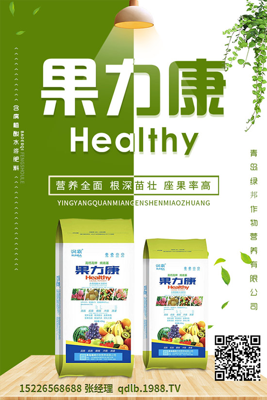 �����ĸ������g�Y���������ĸ����İl(f��)��Ҏ(gu��)�ɼ����Σ�